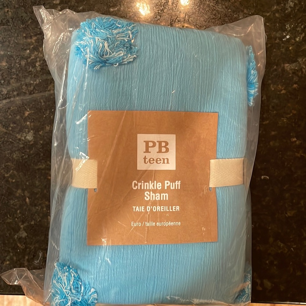 Pottery Barn Teen crinkle puff euro sham, blue